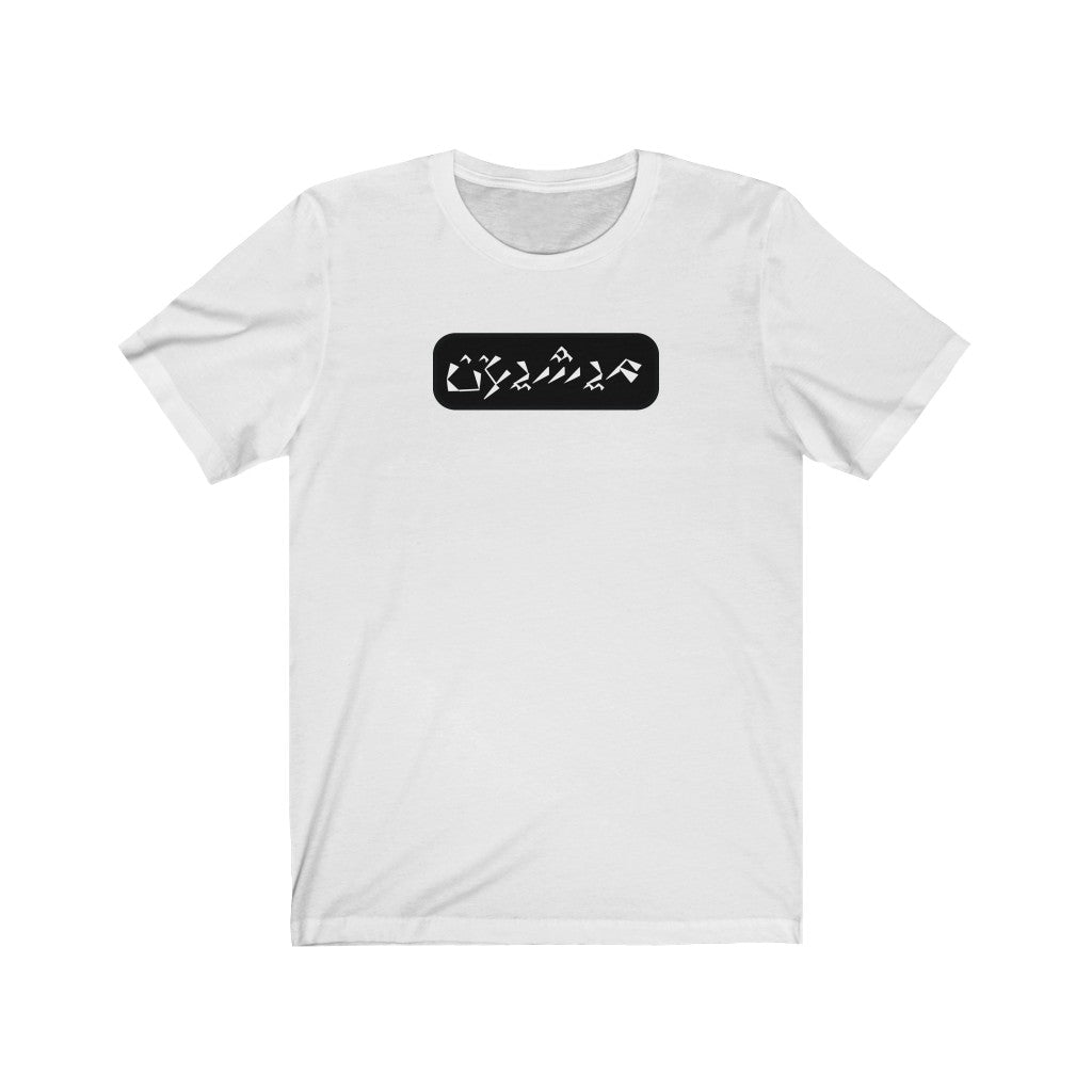 Michigan Unisex Jersey Short Sleeve Tee