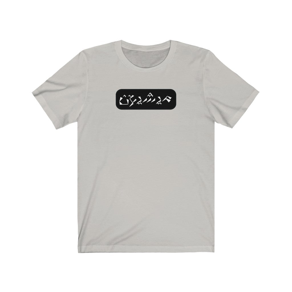 Michigan Unisex Jersey Short Sleeve Tee
