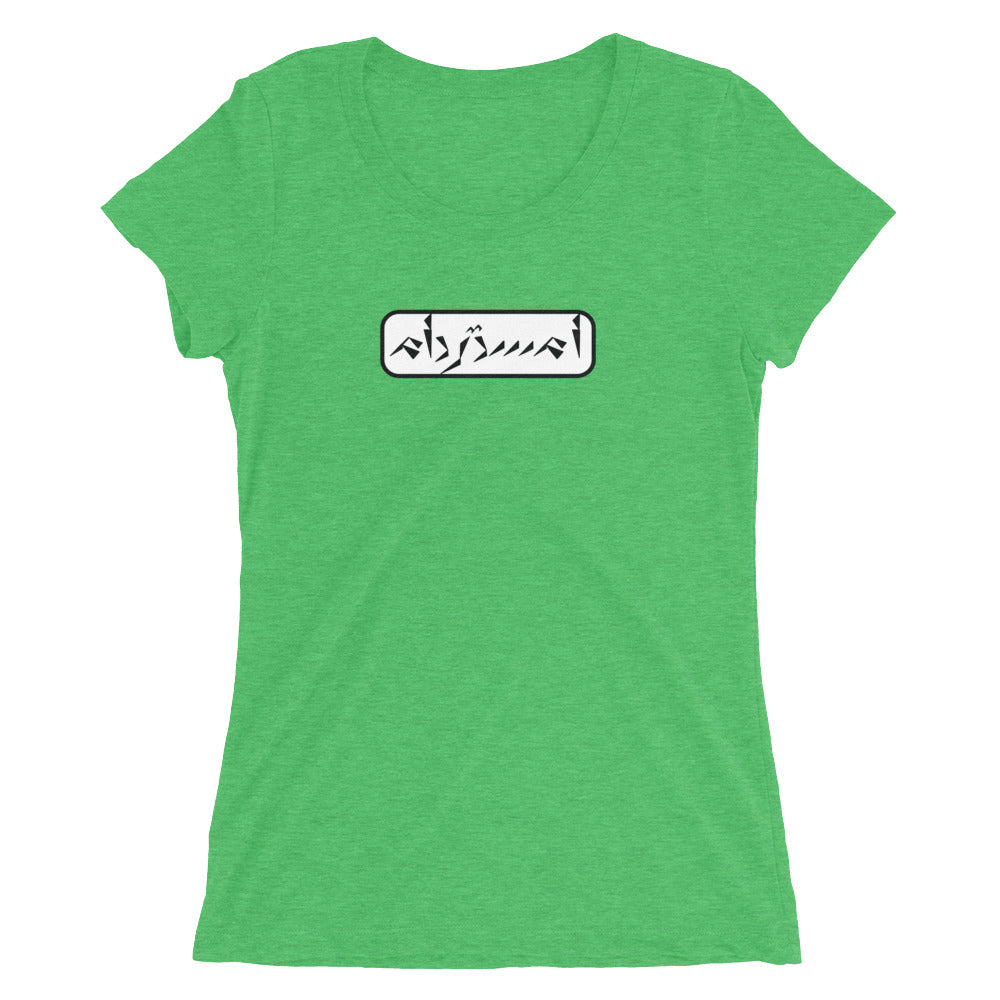 Amsterdam Ladies' short sleeve t-shirt