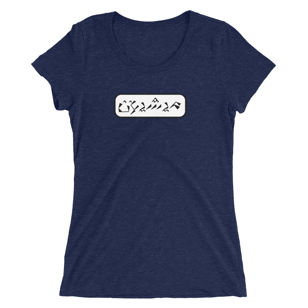 Michigan Ladies' short sleeve t-shirt