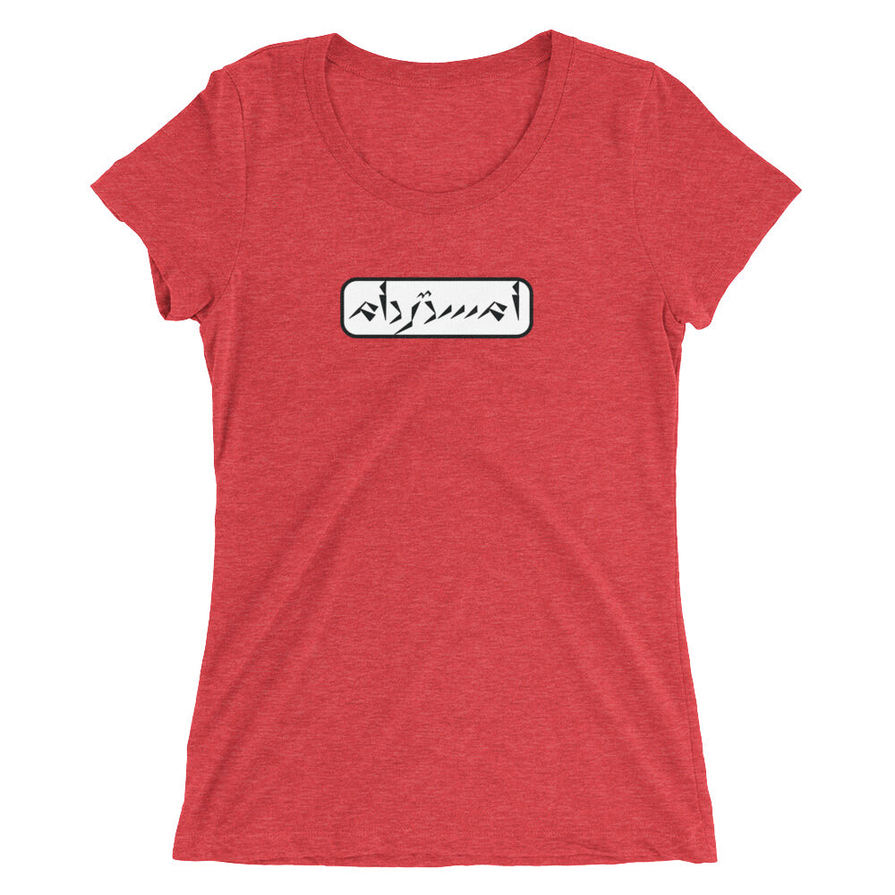 Amsterdam Ladies' short sleeve t-shirt